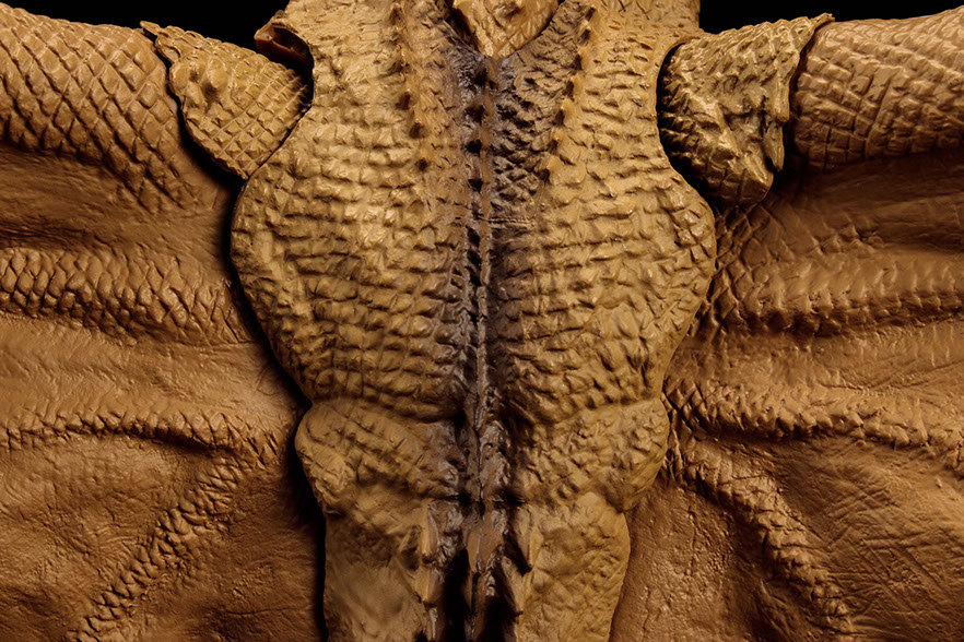 Click for Super Hi-Res