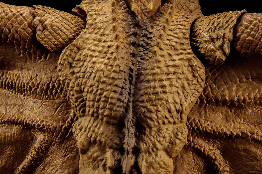 Click for Super Hi-Res