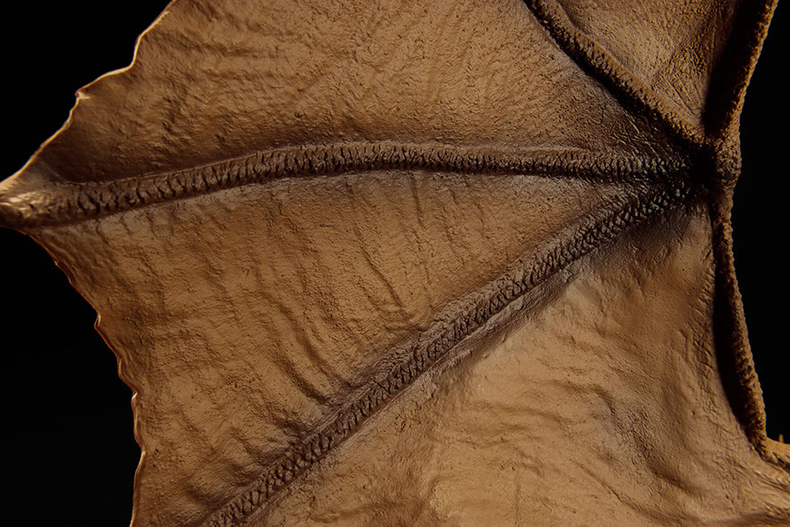 Click for Super Hi-Res