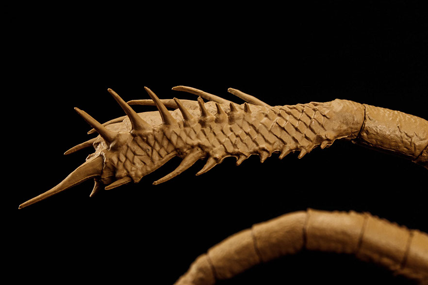 Click for Super Hi-Res