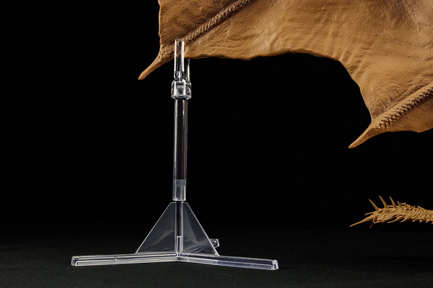 Click for Super Hi-Res