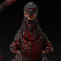 SH Monsterarts Night Combat Shin G Left Arm Issue : r/SHMonsterArts