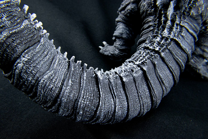 Click for Super Hi-Res